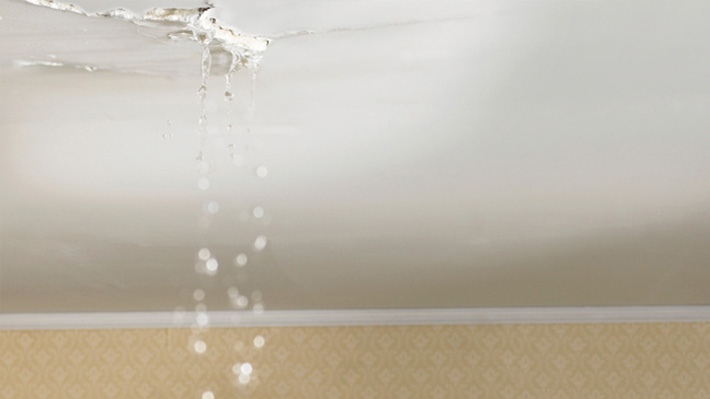 My Roof Leaking
