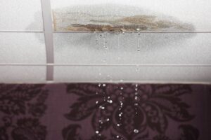 What to Do When Your Roof is Leaking: A Step-by-Step Emergency Guide