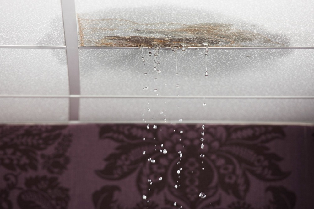 What to Do When Your Roof is Leaking: A Step-by-Step Emergency Guide