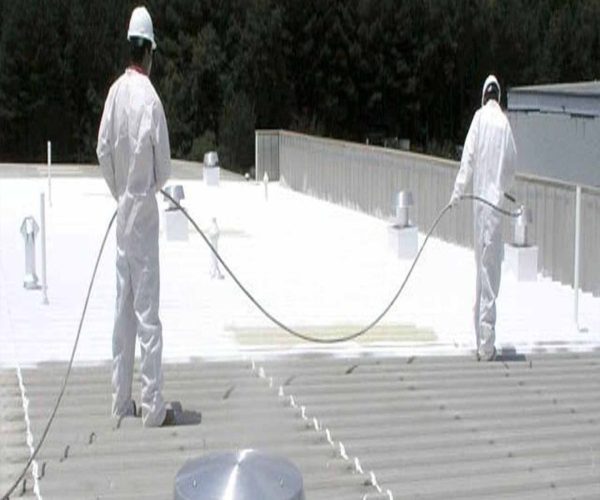 Protect Your Property With Expert Roof Coating In Hammond LA