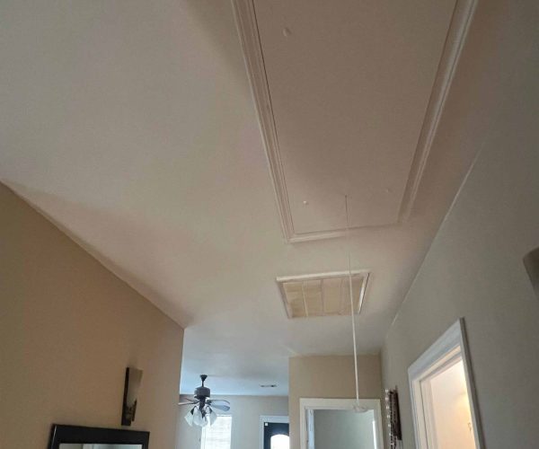 Transform Your Space With Expert Painting In Baton Rouge