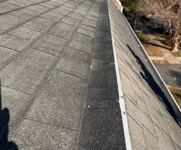 Trusted Roof Repairs And Residential Roofing In New Orleans For A Safe And Secure Home